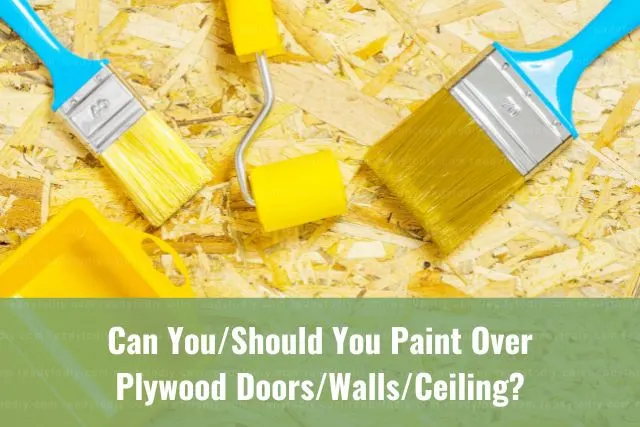 Painting supplies on top of sheet of plywood