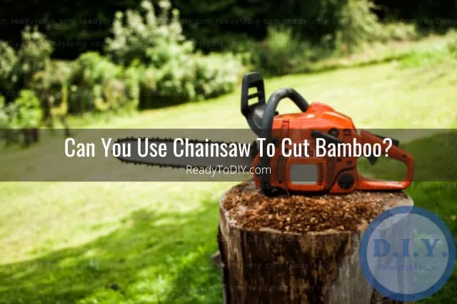 Tools to cut the bamboo