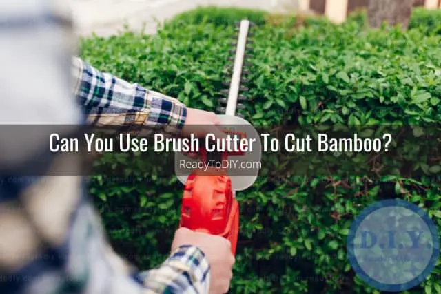 Tools to cut the bamboo