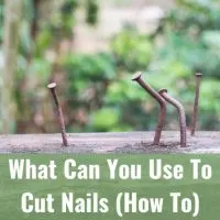 nails in the wood