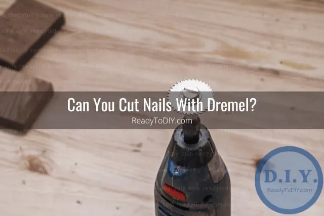tools to cut nails