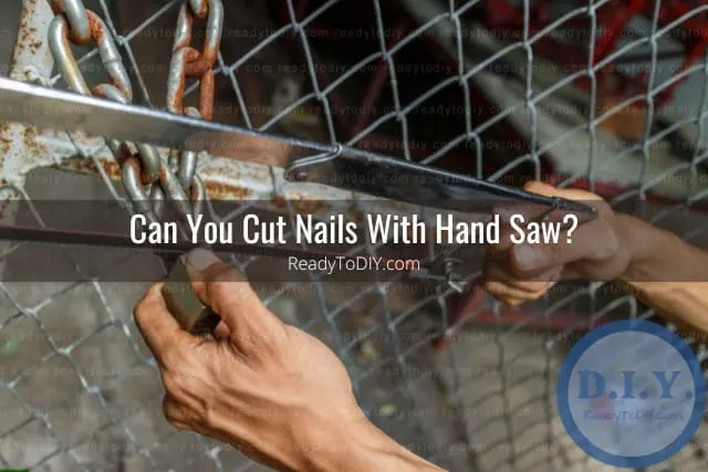 tools to cut nails