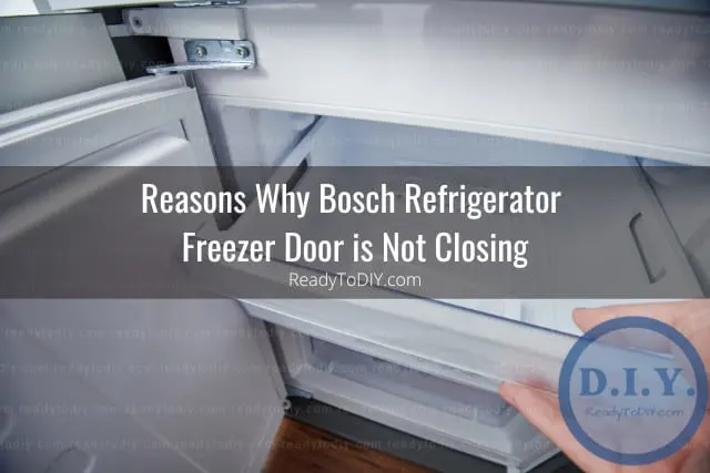 Checking the freezer