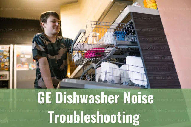 Putting plates in the diswasher