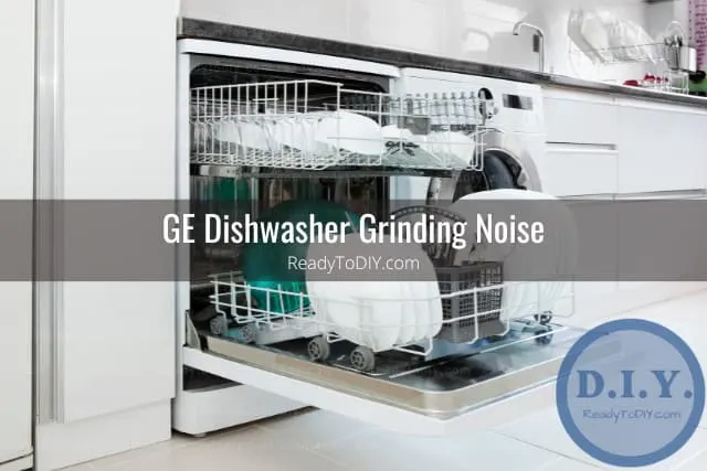 Putting plates in the diswasher