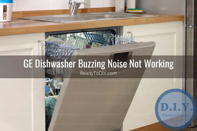 Putting plates in the diswasher