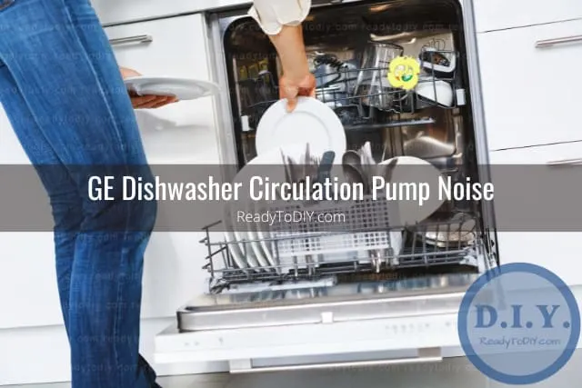 Putting plates in the diswasher