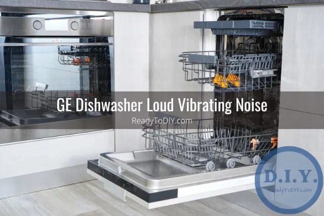 Putting plates in the diswasher