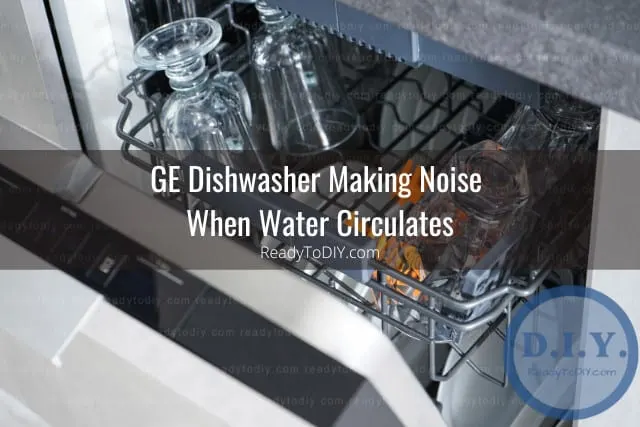Putting plates in the diswasher
