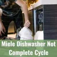 Putting plates in the diswasher
