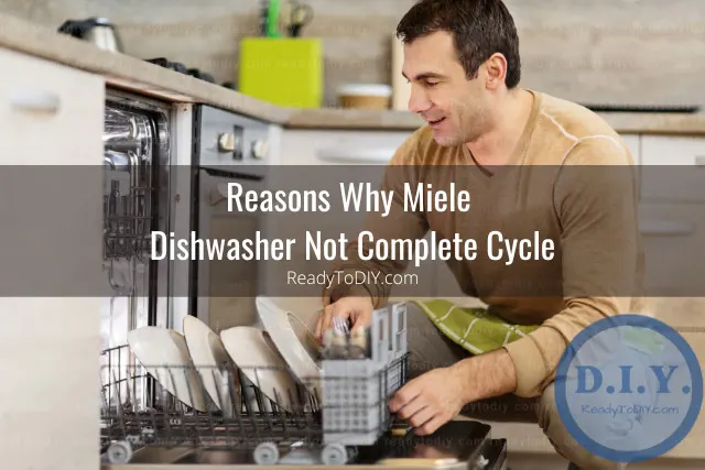 Putting plates in the diswasher