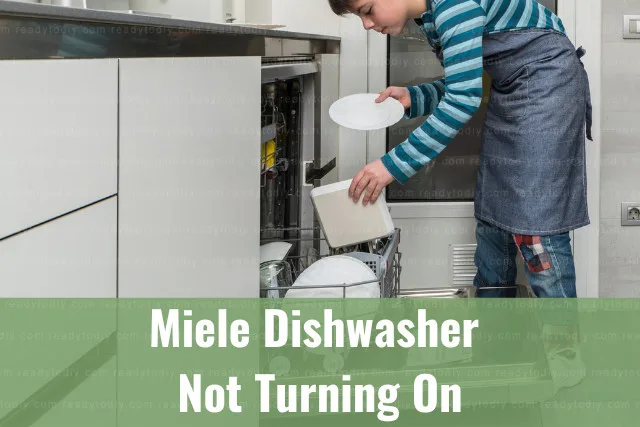 A boy putting a plate inside the dishwasher
