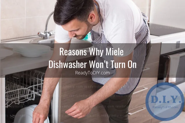 Putting plates in the diswasher