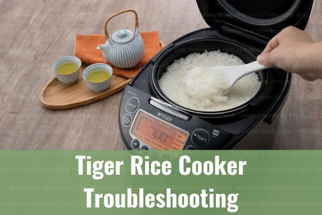 Latest black and gray rice cooker