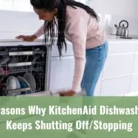 Woman checking the dishwasher