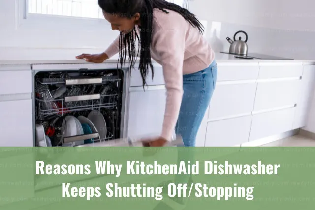 Woman checking the dishwasher