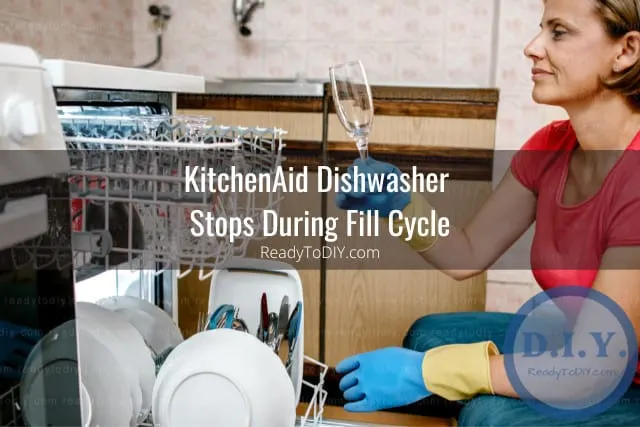 Putting plates in the diswasher