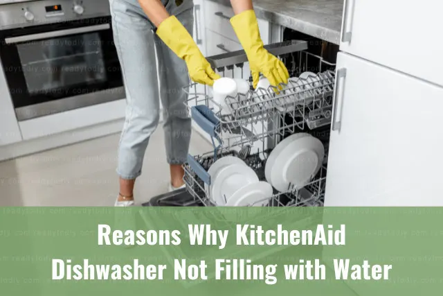 Putting plates in the diswasher