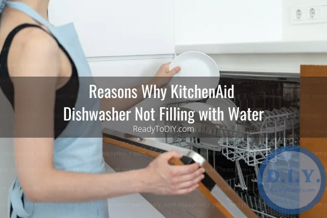 Clean white dishwasher with plates inside