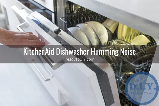 Clean white dishwasher with plates inside