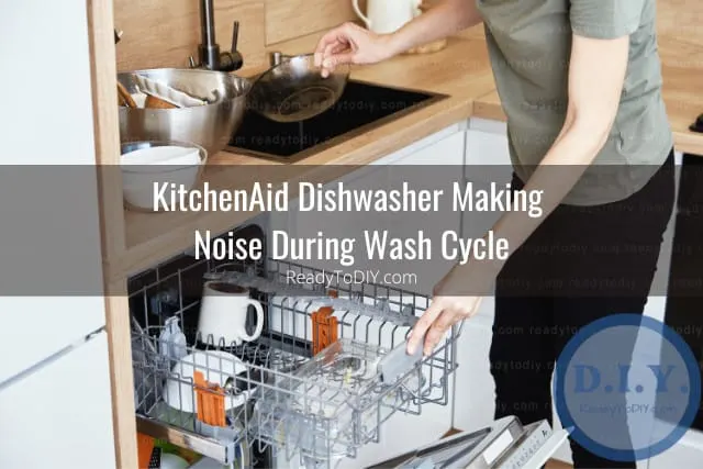 Putting plates in the diswasher
