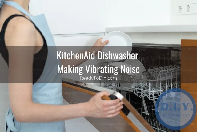 Putting plates in the diswasher