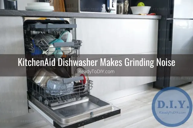 Clean white dishwasher with plates inside