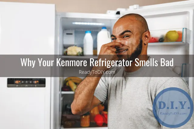bad smell of refrigerator