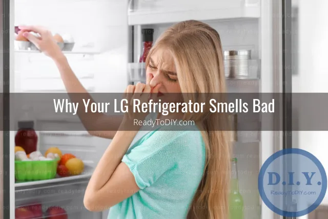 bad smell of refrigerator