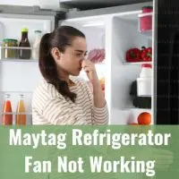 bad smell of refrigerator