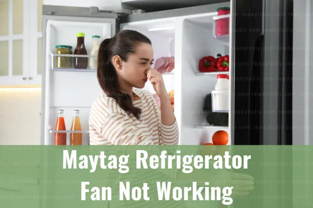 bad smell of refrigerator