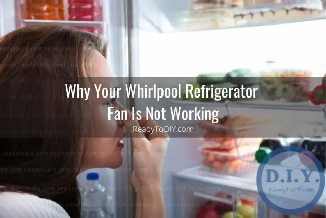 bad smell of refrigerator
