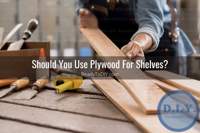 Wooden plywood shelves