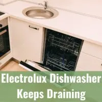 dishwasher in the kitchen
