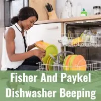 dishwasher in the kitchen