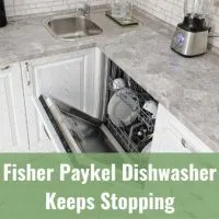 dishwasher in the kitchen