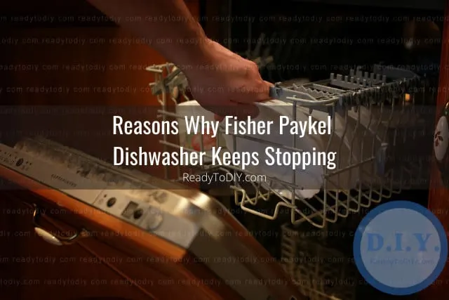 dishwasher in the kitchen