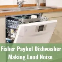 dishwasher in the kitchen
