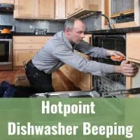 dishwasher in the kitchen