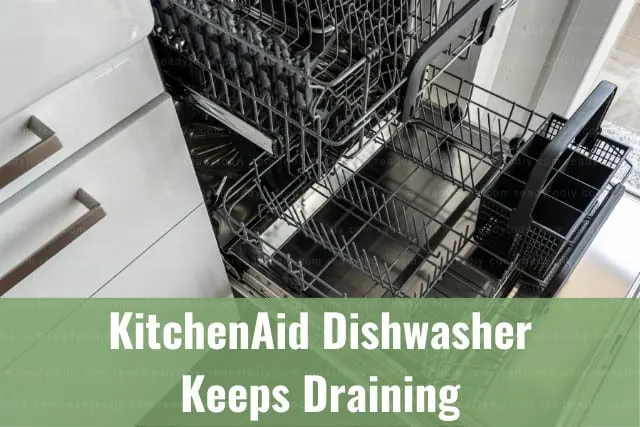 dishwasher in the kitchen