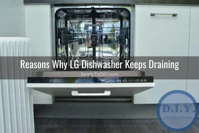 dishwasher in the kitchen