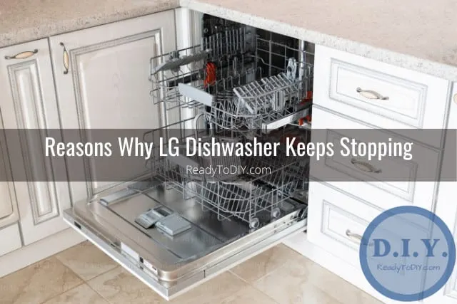 dishwasher in the kitchen