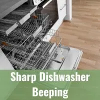 dishwasher in the kitchen