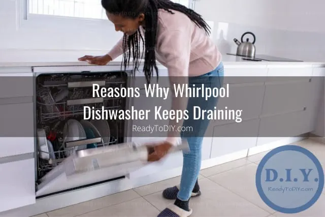 dishwasher in the kitchen