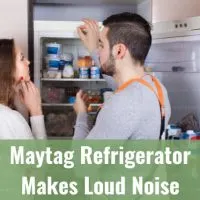 white refrigerator in the kitchen